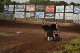 Picture of Tubular Wing Tree 17" Black